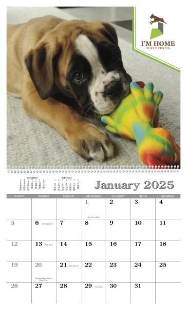 Custom Single Image Appointment 541_25_3.png