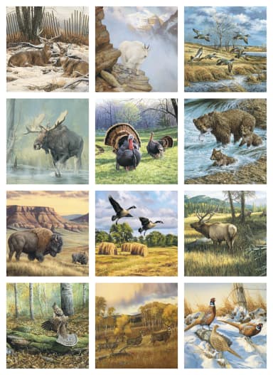 Wildlife Art Calendar