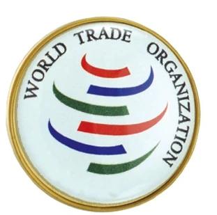 Domed Lapel Pin Round (1" Diameter)