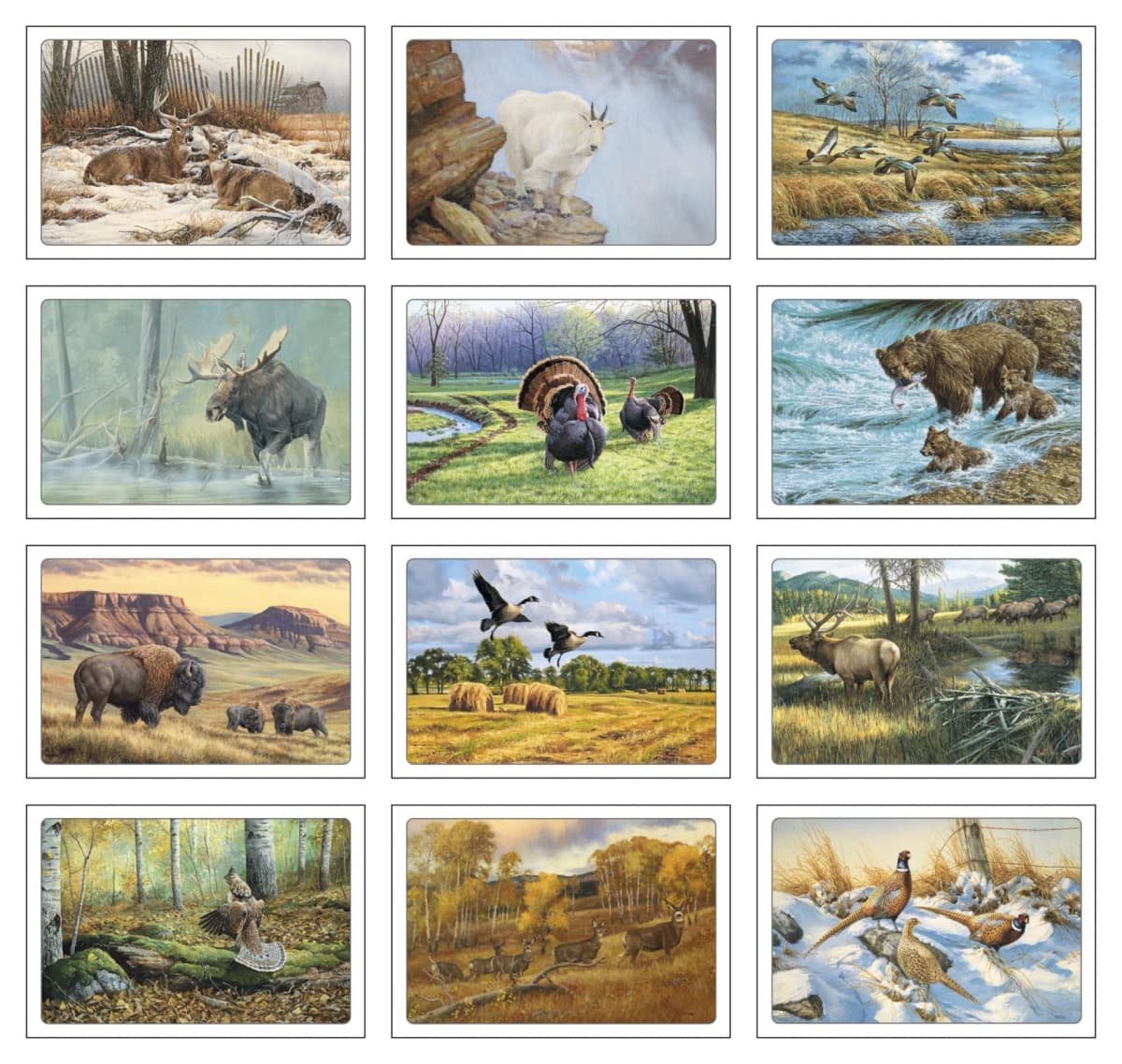 Wildlife Art by Dale Thompson Pocket