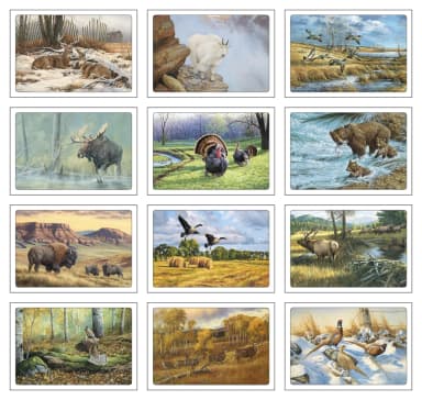 Wildlife Art by Dale Thompson Pocket