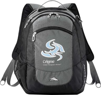 High Sierra Fly-By 17 Computer Backpack