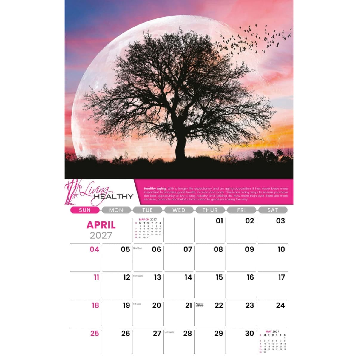 Galleria Wall Calendar 2027 Living Healthy