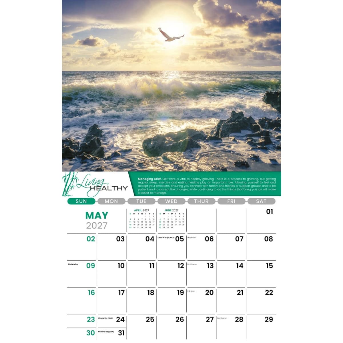 Galleria Wall Calendar 2027 Living Healthy