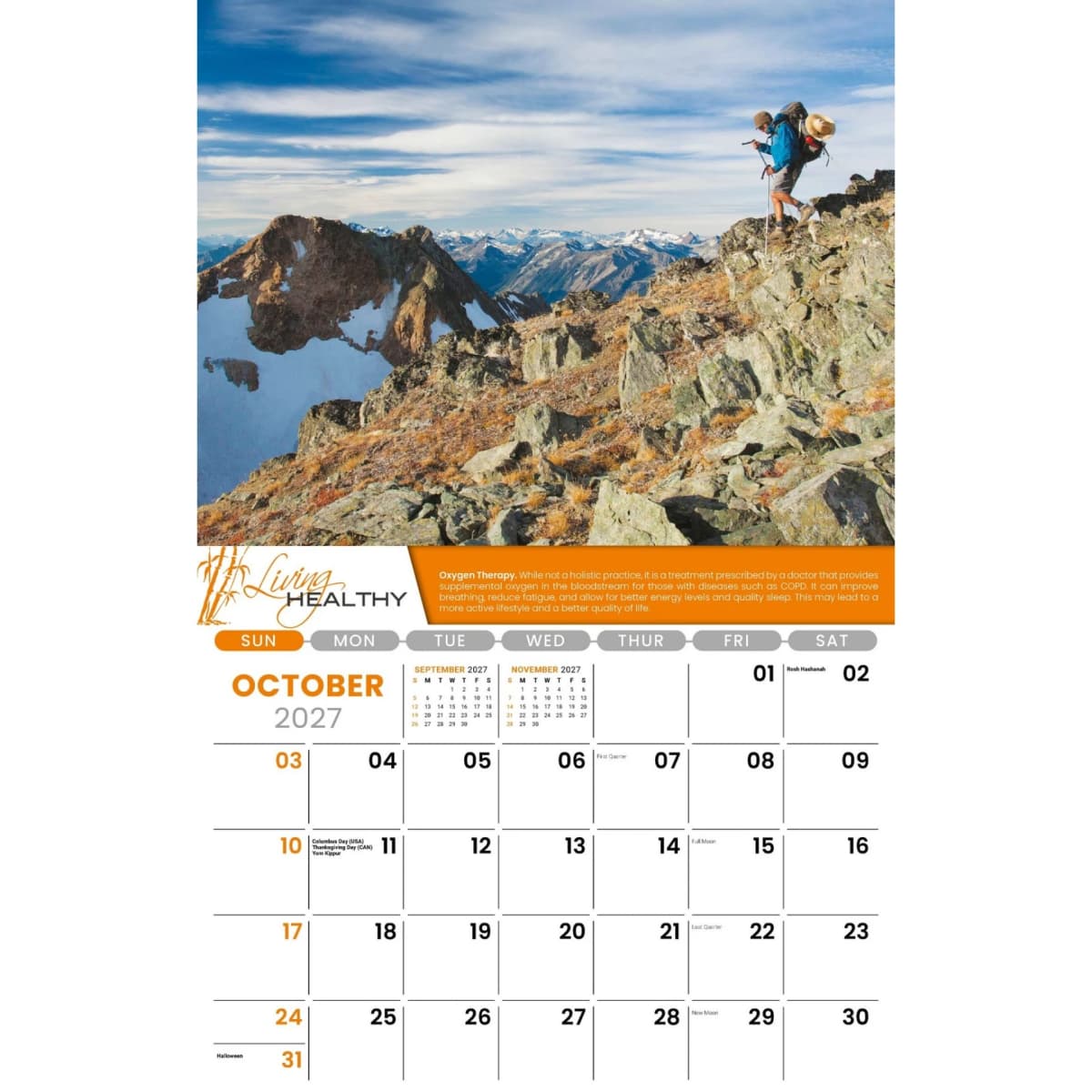 Galleria Wall Calendar 2027 Living Healthy
