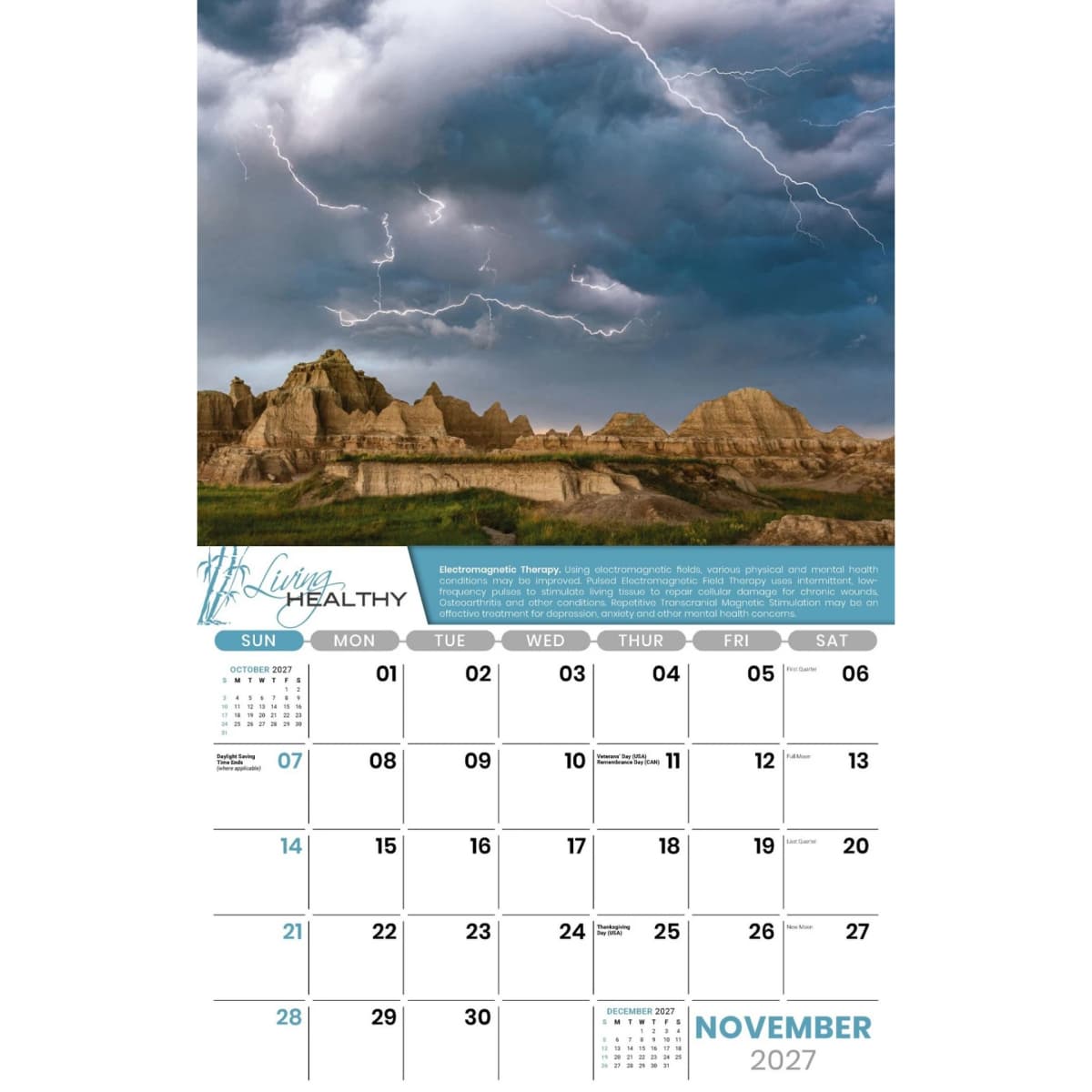 Galleria Wall Calendar 2027 Living Healthy