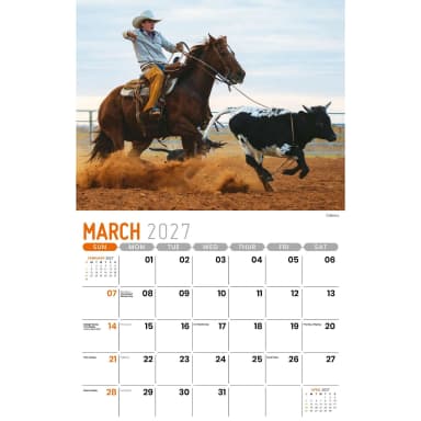 Galleria Wall Calendar 2027 Scenes of Texas