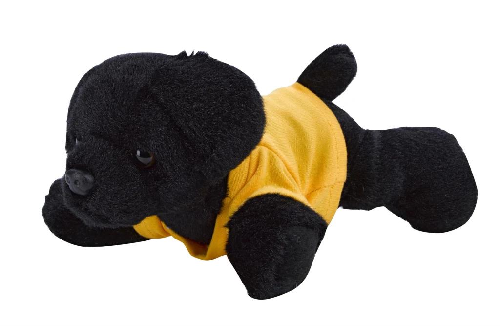 VAUR001 black lab angled