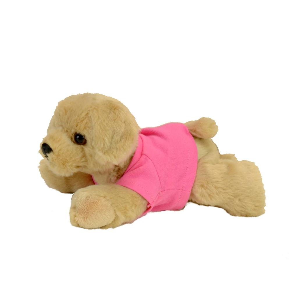 VAUR001 golden lab side view