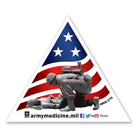 Product: Triangle Magnet