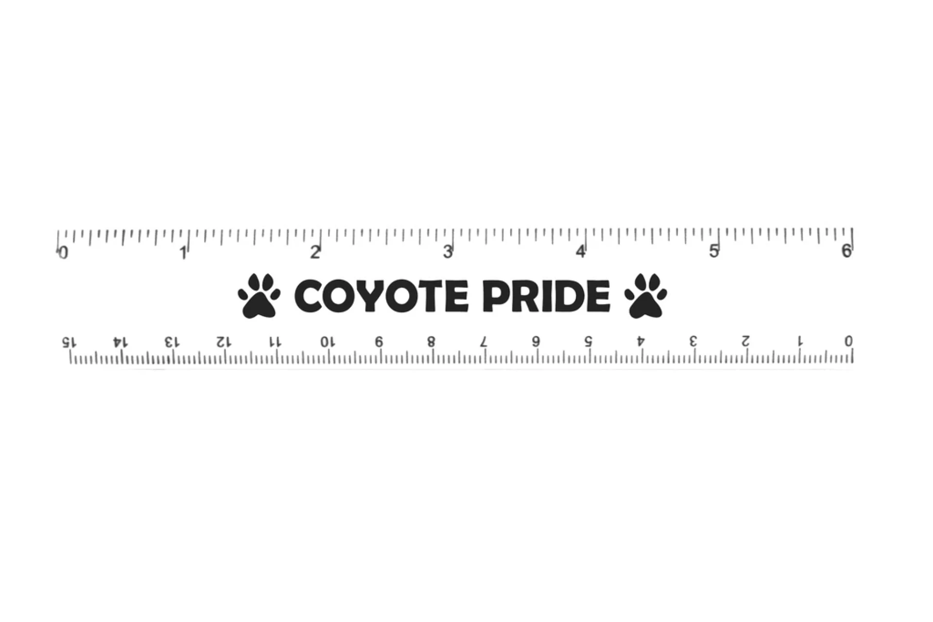 Product: 6" Plastic Ruler