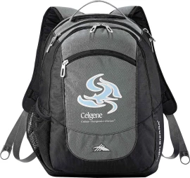 Product: High Sierra Fly-By 17 Computer Backpack