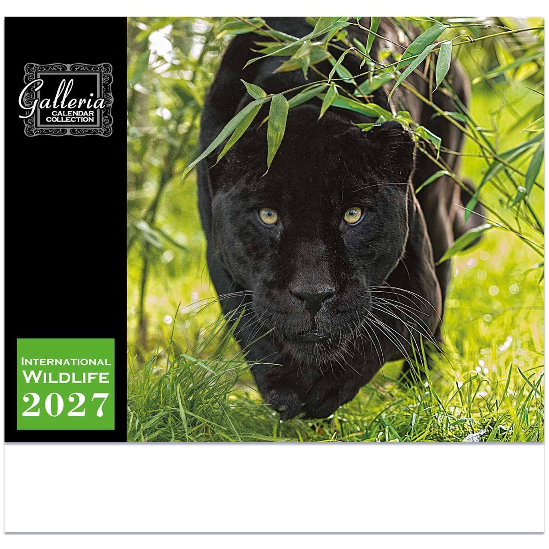 Product: Galleria Wall 2027 International Wildlife