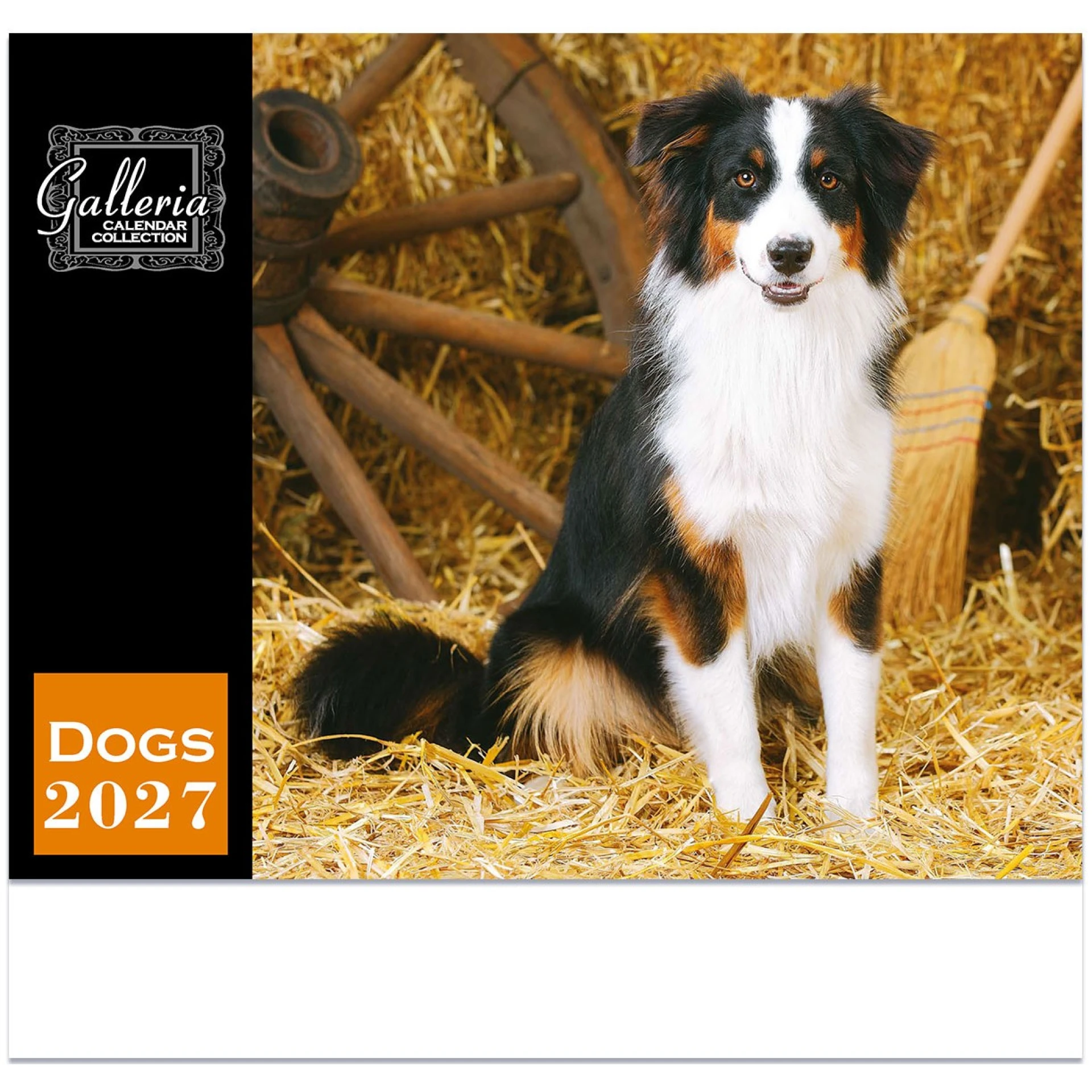Product: Galleria Wall Calendar 2027 Dogs
