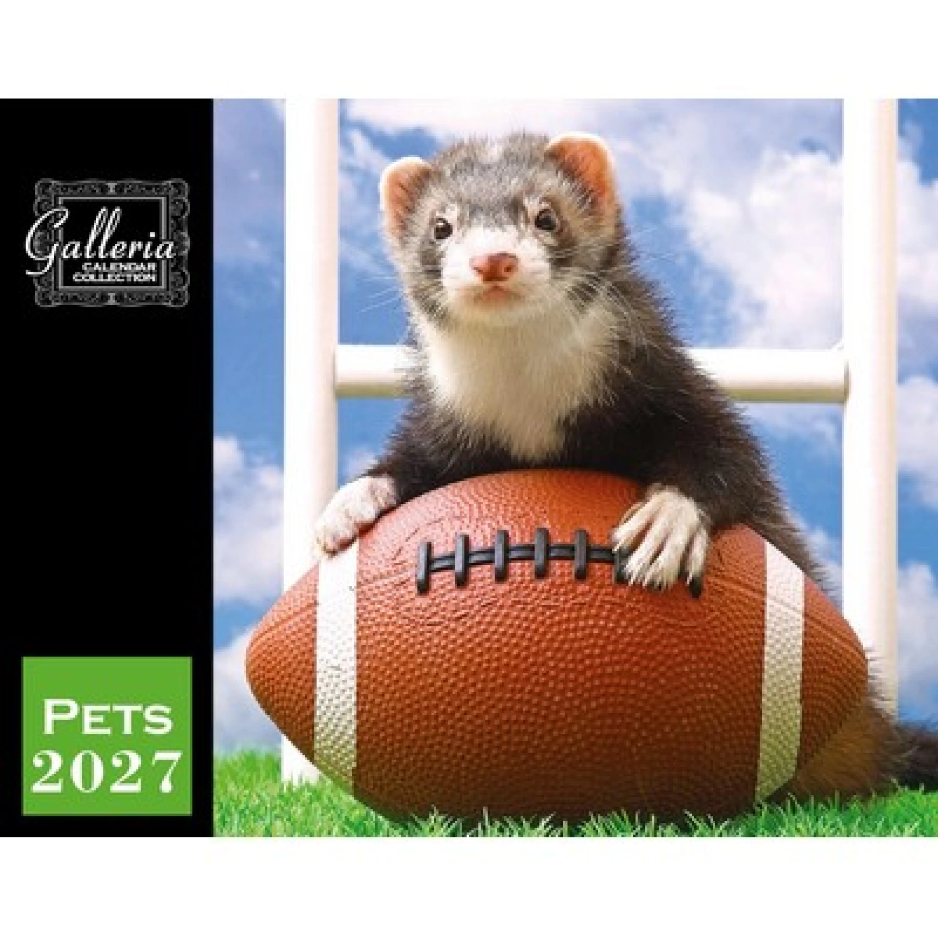 Product: Galleria Wall Calendar 2027 Pets