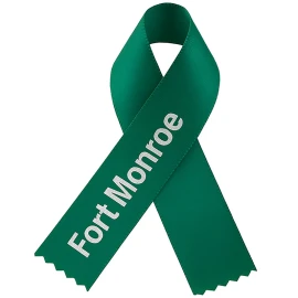 Product: Awareness ribbon with Pin