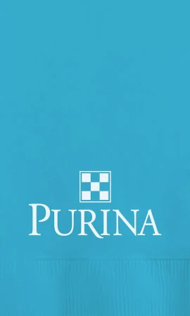 Product: Bermuda Blue 2-Ply Dinner Napkins - 1-Color Screen Print