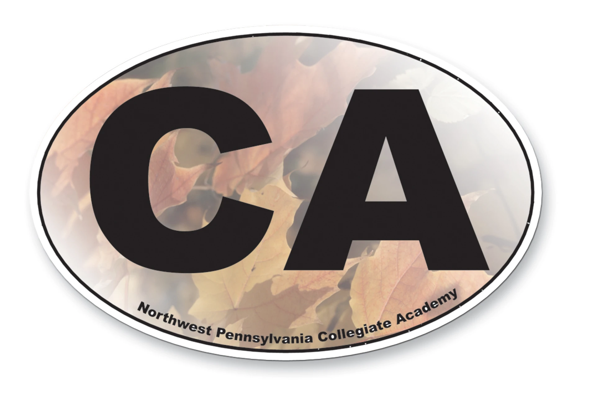 Product: 30 Mil Small Oval Car Magnet - Full Color