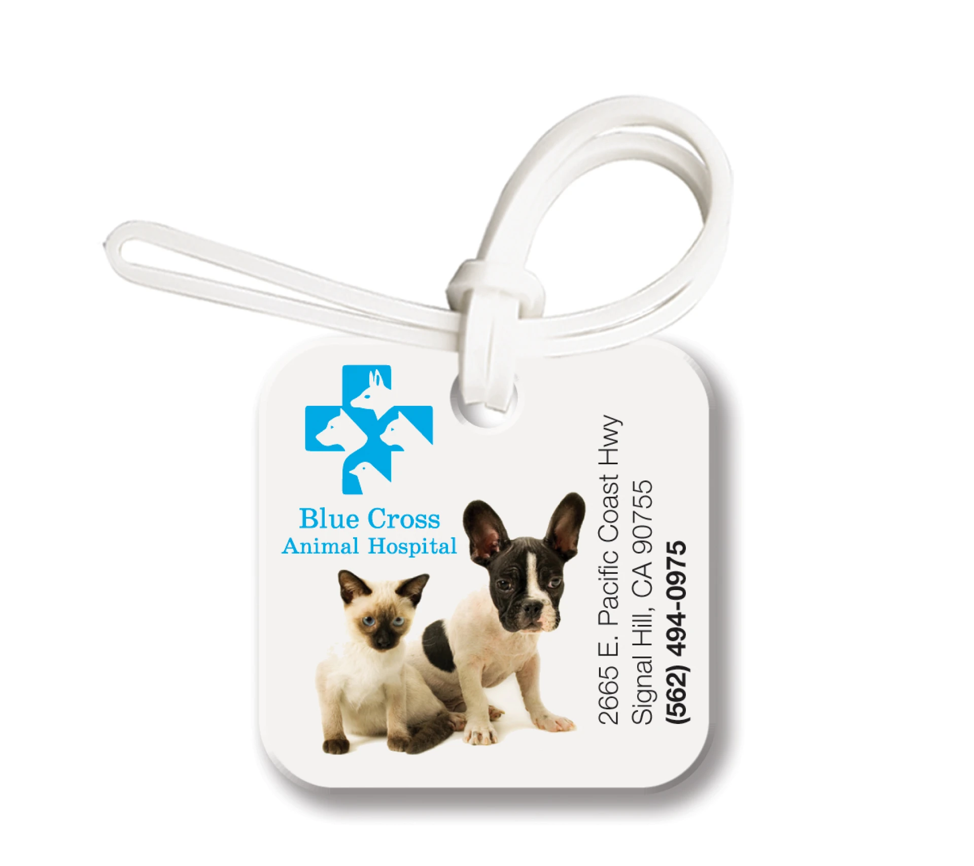 Product: Small Square ID Tag Bag & Luggage Tag - Full Color