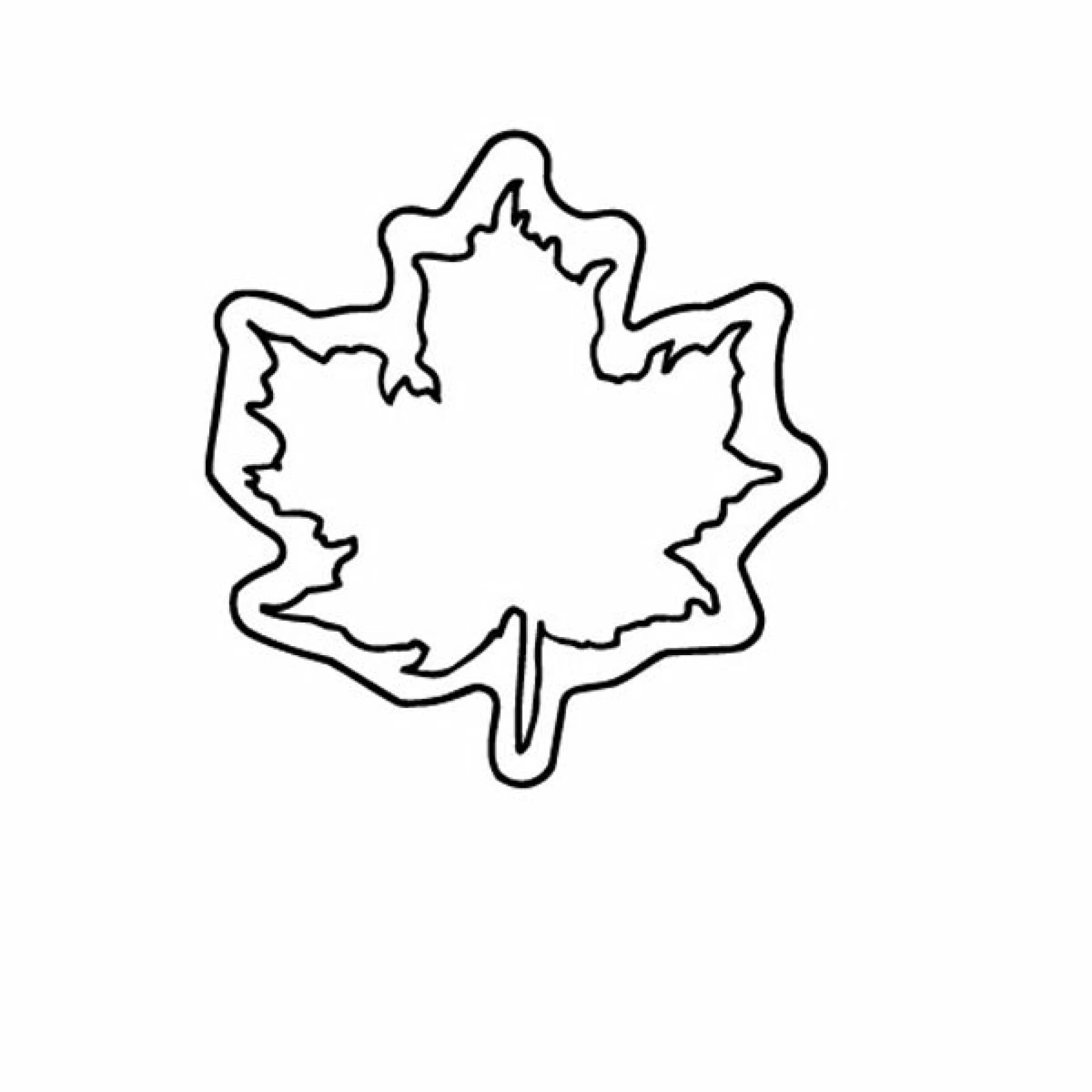 Product: Leaf Magnet - Full Color